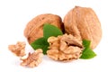 Walnuts with leaf isolated on white background Royalty Free Stock Photo