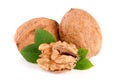 Walnuts with leaf isolated on white background Royalty Free Stock Photo