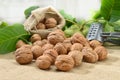 Walnuts with leaf and nutcracker on sackcloth Royalty Free Stock Photo