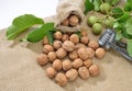 Walnuts with leaf and nutcracker on sackcloth Royalty Free Stock Photo