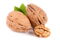 Walnuts with leaf on white background Royalty Free Stock Photo