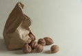Walnuts leaking from a paper bag Royalty Free Stock Photo