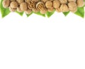 Walnuts with leaves at border of image with copy space for text Royalty Free Stock Photo