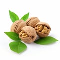 Walnuts with leaves isolated on white background Royalty Free Stock Photo