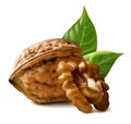 Walnuts