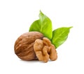 Walnuts with leaves and kernel walnut.