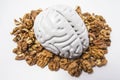 Walnuts like healthy food for the brain. Shape of human brain is surrounded by walnut kernels. It symbolizes how brain similarity