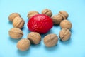 Walnuts like healthy food for the brain. Shape of human brain is surrounded by walnut kernels. It symbolizes how brain