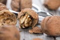 Walnuts Royalty Free Stock Photo