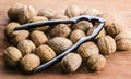 Walnuts and Nutcracker on a Cutting Board Royalty Free Stock Photo