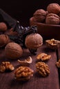 Walnuts and Nutcrackers Royalty Free Stock Photo