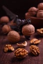 Walnuts and Nutcrackers dragon Royalty Free Stock Photo