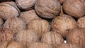 Walnuts in nutshell