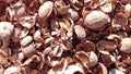 Walnuts nutshell natural dry fruit background Royalty Free Stock Photo