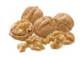 Walnuts in nutshell and peeled isolated on white background