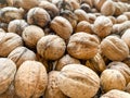 Walnuts opened the shell and the collected Royalty Free Stock Photo