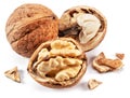 Walnuts and opened walnut with isolated on white background