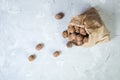 Walnuts in paper bag on gray background. Royalty Free Stock Photo