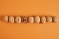 walnuts pattern on brown background, top view walnuts in shell and without shell in a row