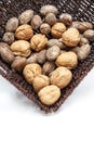 Walnuts and pecans in bulk Royalty Free Stock Photo