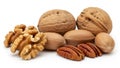 walnuts and pecans on white background. Royalty Free Stock Photo