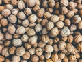 Walnuts , pile of nuts, walnuts background