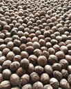 Walnuts pile