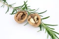 Walnuts with rosemary Royalty Free Stock Photo