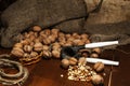 Walnuts on a rustic old wooden table. walnuts on a wooden table. Side view. Royalty Free Stock Photo