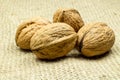 Walnuts on sackcloth Royalty Free Stock Photo