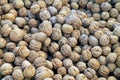 Walnuts For Sale