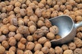 Walnuts For Sale