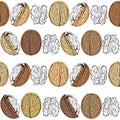 Walnuts. Seamless pattern on a white background. Stylish