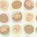 Walnuts seamless vector pattern