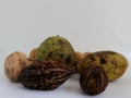 Walnuts seeds and nutshells Royalty Free Stock Photo