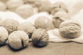 Walnuts fresh in sepia color