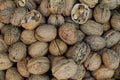 Walnuts with shell background texture