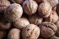 Walnuts in shell, walnut hock, cracked walnuts, close-up. Royalty Free Stock Photo