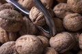 Walnuts in shell, walnut hock, cracked walnuts, close-up. Royalty Free Stock Photo