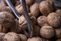 Walnuts in shell, walnut hock, cracked walnuts, close-up. Royalty Free Stock Photo