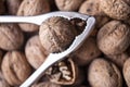Walnuts in shell, walnut hock, cracked walnuts, close-up. Royalty Free Stock Photo