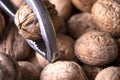 Walnuts in shell, walnut hock, cracked walnuts, close-up. Royalty Free Stock Photo