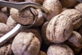 Walnuts in shell, walnut hock, cracked walnuts, close-up. Royalty Free Stock Photo