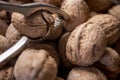 Walnuts in shell, walnut hock, cracked walnuts, close-up. Royalty Free Stock Photo