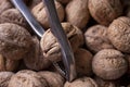 Walnuts in shell, walnut hock, cracked walnuts, close-up. Royalty Free Stock Photo