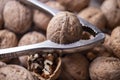 Walnuts in shell, walnut hock, cracked walnuts, close-up. Royalty Free Stock Photo