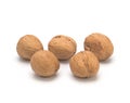 Walnuts in shell on a white background Royalty Free Stock Photo