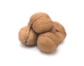 Walnuts in shell on a white background Royalty Free Stock Photo