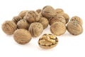 Walnuts in shell on white background Royalty Free Stock Photo