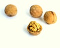 Walnuts shell at white background